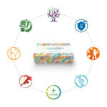 Eatwellgx-Image-9--800x799