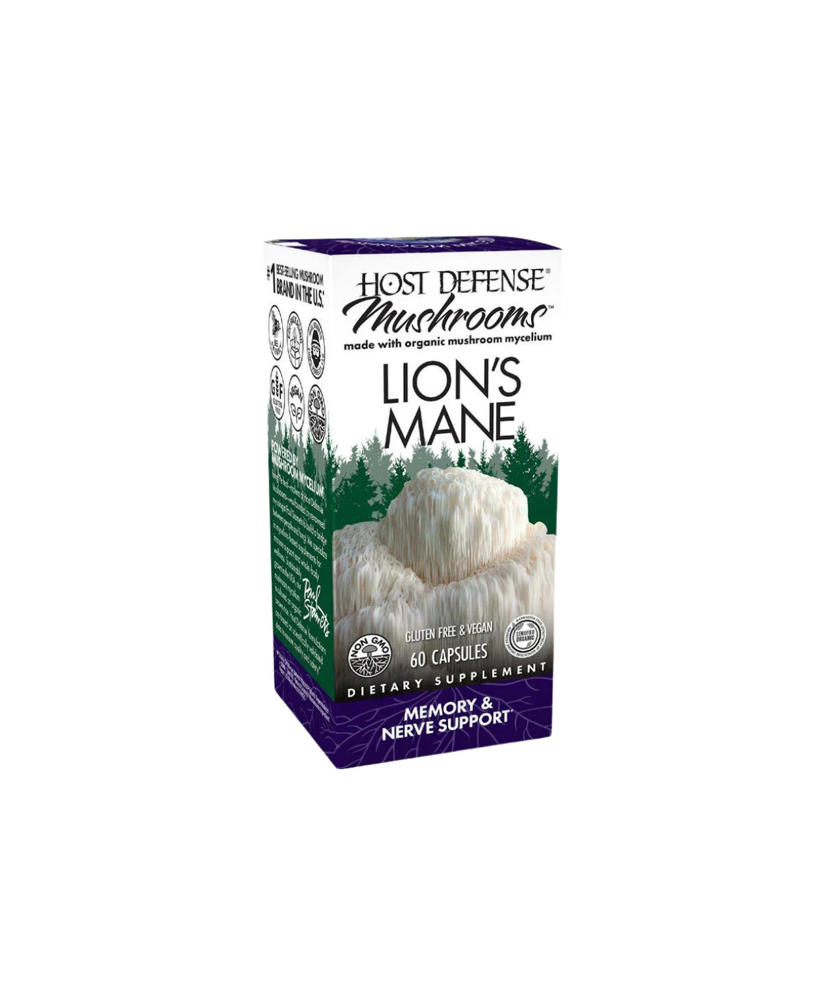 Lion_sManeBack.jpg