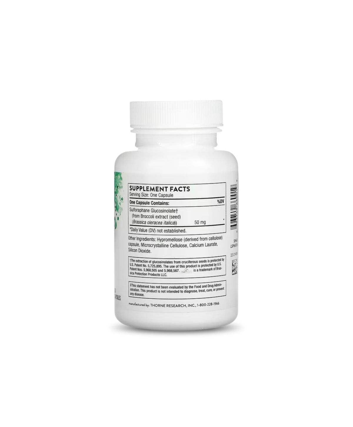 THORNECrucera-SGS2.jpg